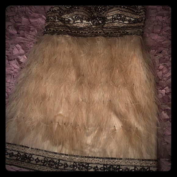Sue Wong Dresses & Skirts - Sue Wong Ostrich feathers beautiful dress.